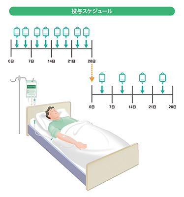 投与スケジュール