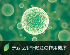 テムセル®HS注の作用機序