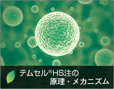 テムセル®HS注の原理・メカニズム